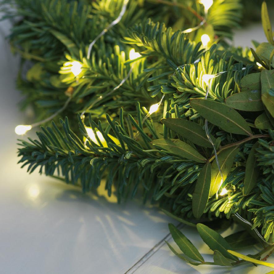 Micro LED stringlights 8 function twinkle outdoor 11.95m 240 lights - WowCornwall