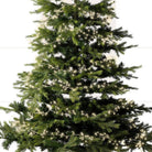 Micro LED compact lights 8 function twinkle effect outdoor 480 lights  - warm white - WowCornwall