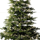 Micro LED compact lights 8 function twinkle effect outdoor 960 lights  - warm white - WowCornwall