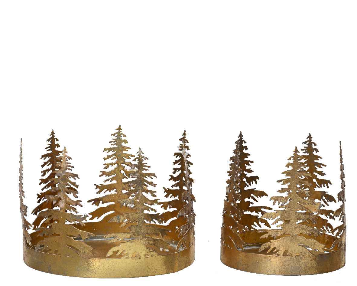 Gold Hurricane With Tree Cut Out