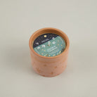 Orange & Cinnamon, Star Gazy Pot - WowCornwall