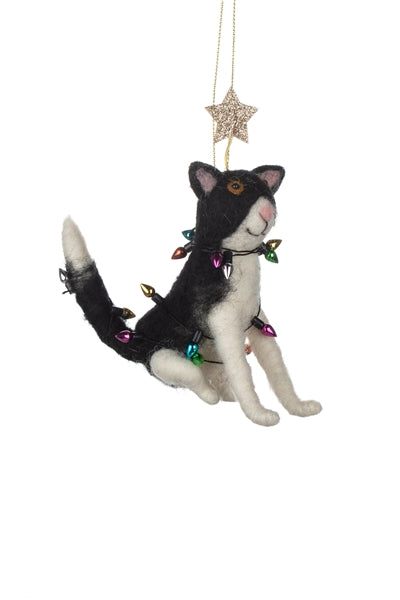 Cat in fairy lights - WowCornwall