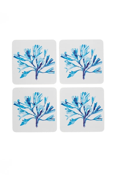 Seaweed Coaster Sets of 4 - WowCornwall