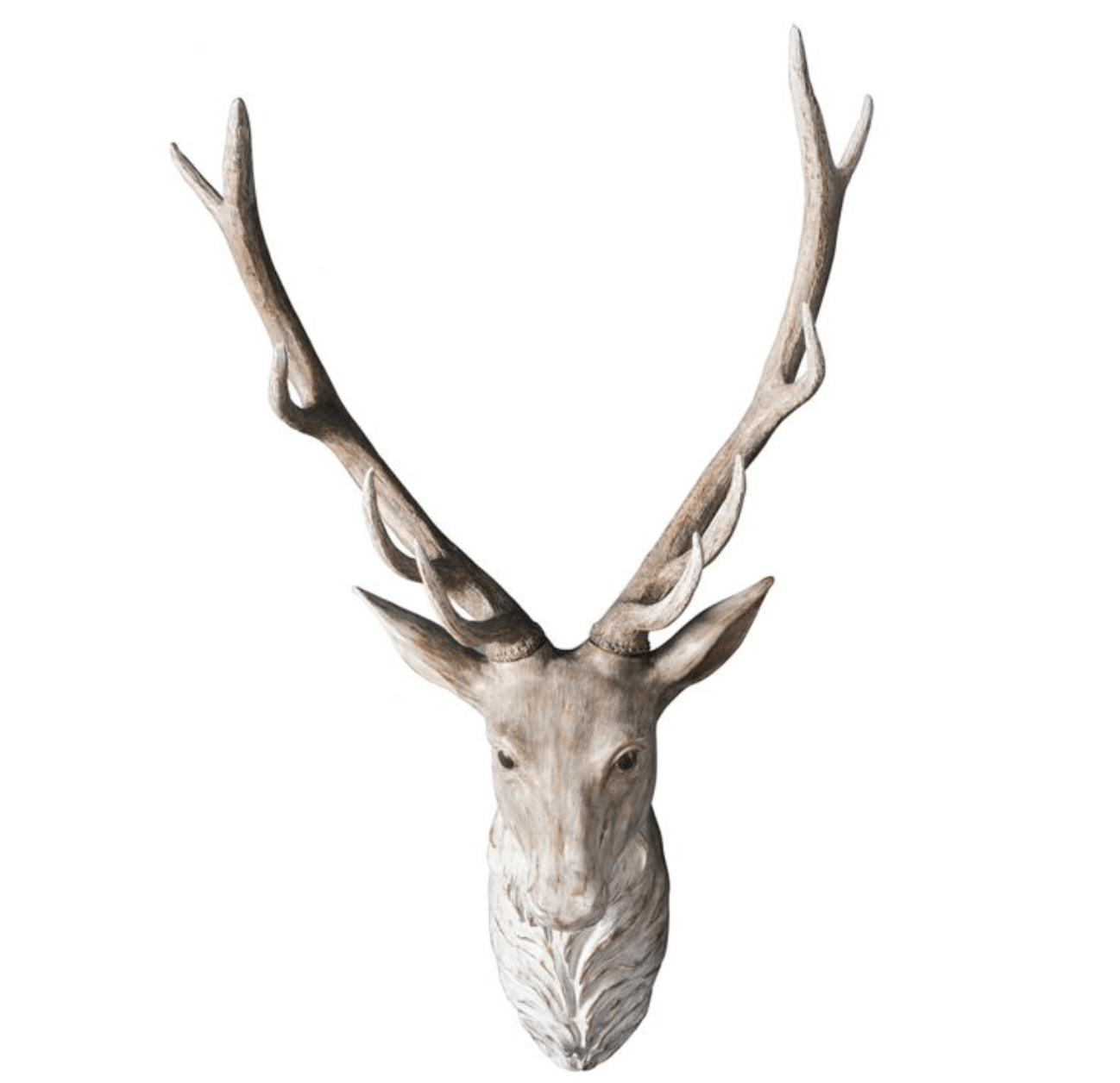Walter Stag Head - WowCornwall