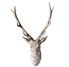 Walter Stag Head - WowCornwall