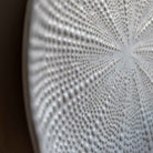 Sea Urchin Plate (Copy)
