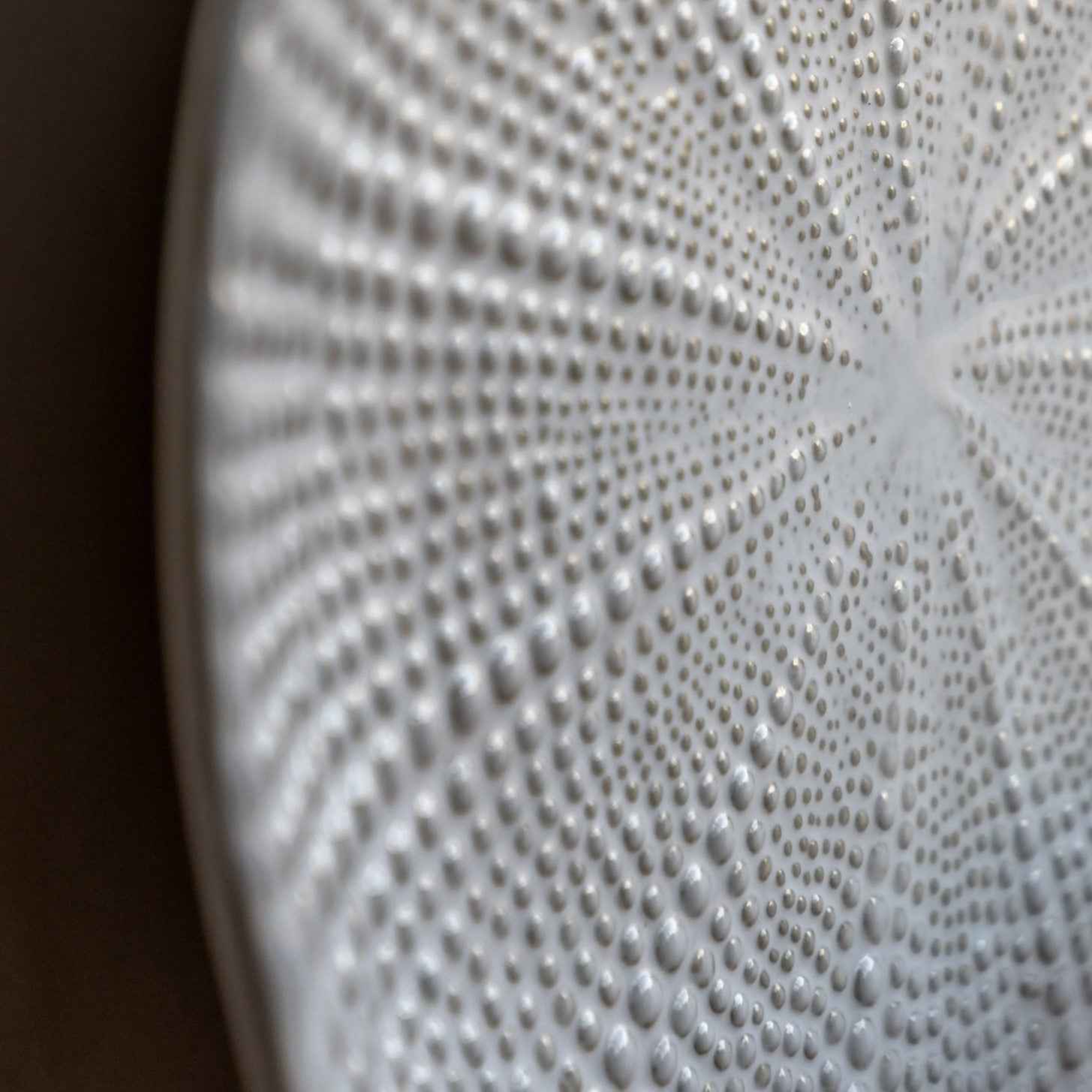 Sea Urchin Plate (Copy)
