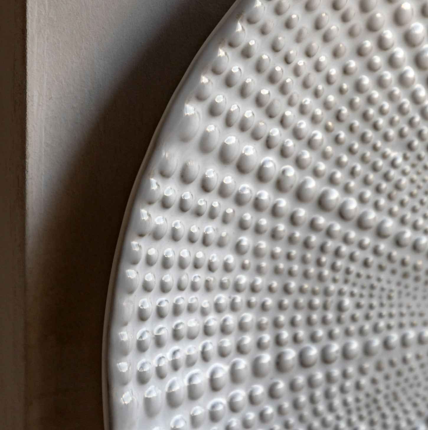 Sea Urchin Plate (Copy)