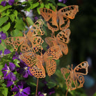 Comma butterfly sculpture with stake - WowCornwall