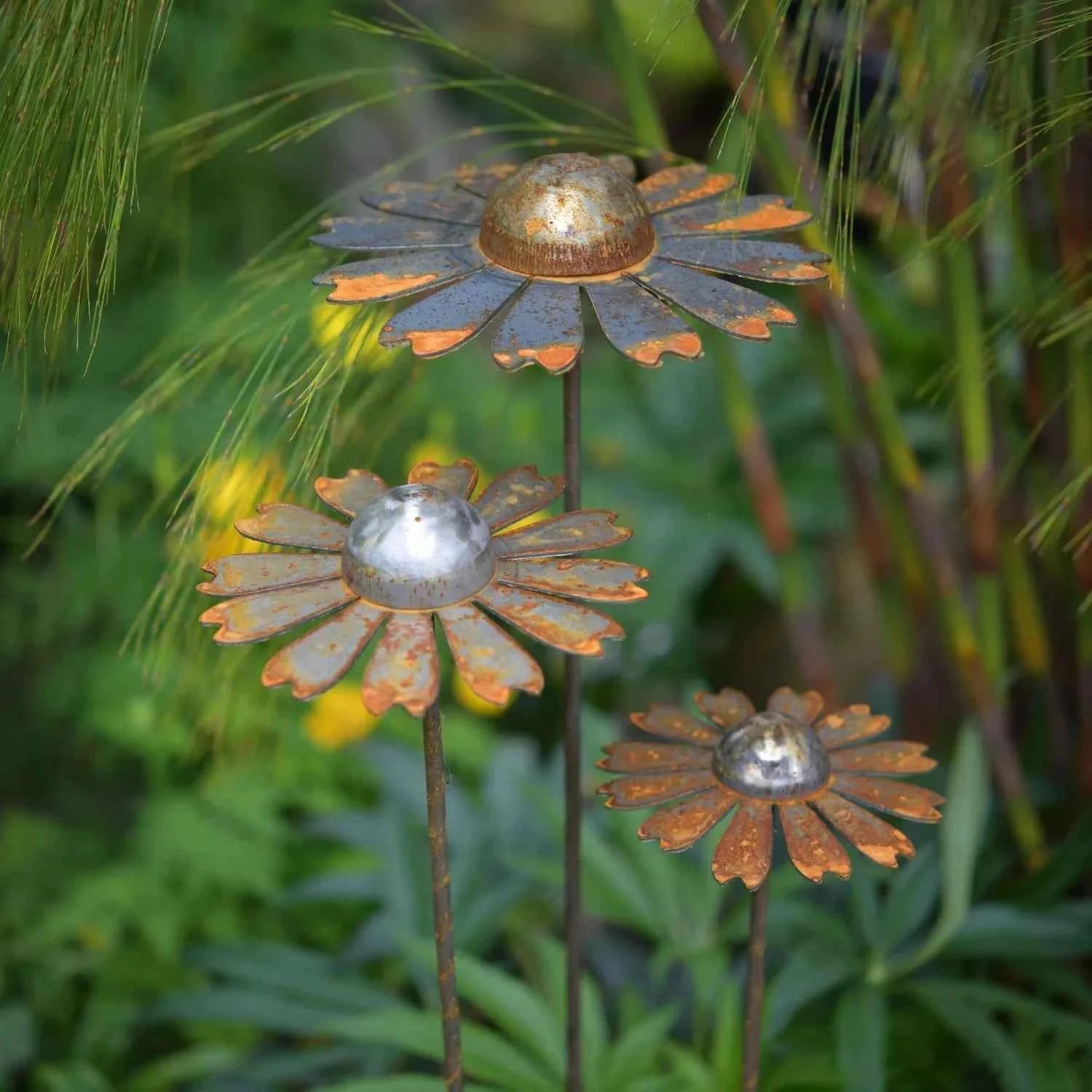 Cosmic daisies, 3 sizes