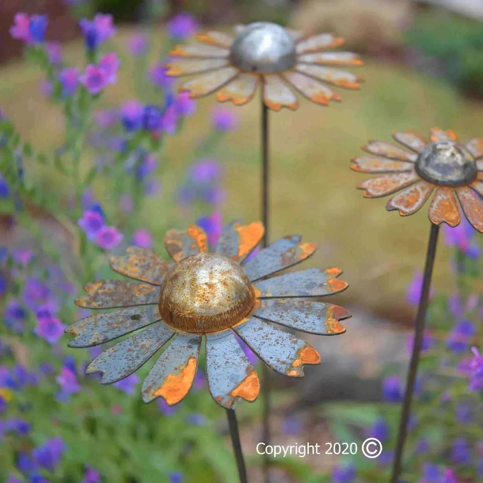 Cosmic daisies, 3 sizes