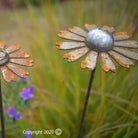 Cosmic daisies, 3 sizes