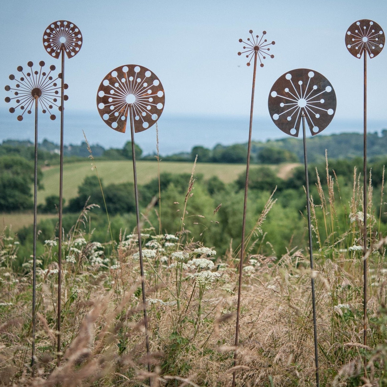 Firework Allium - Female - WowCornwall