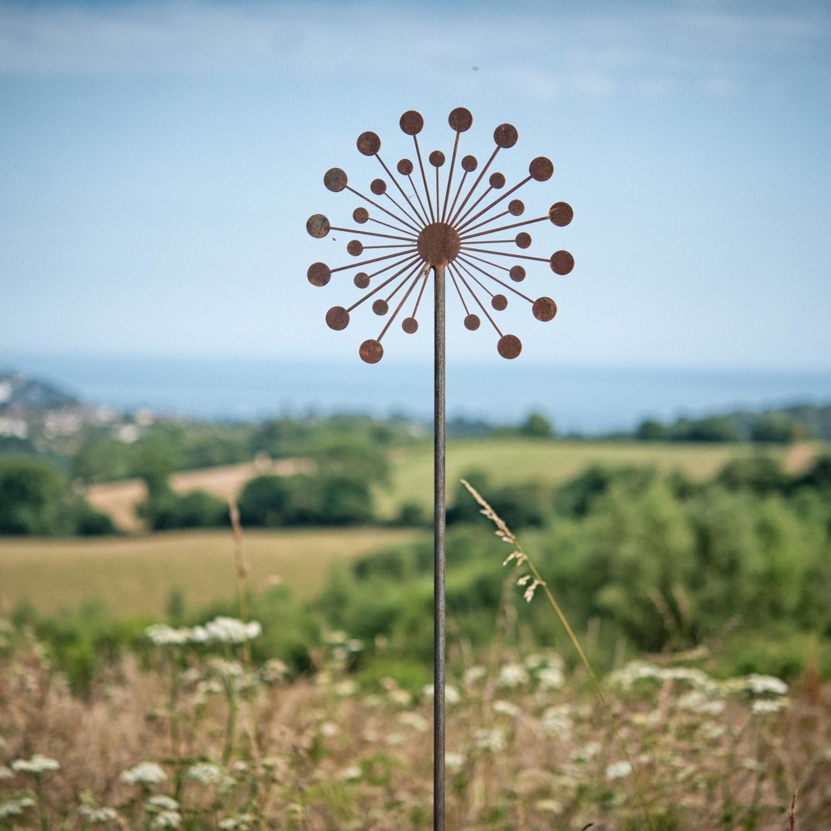 Firework Allium - Male - WowCornwall