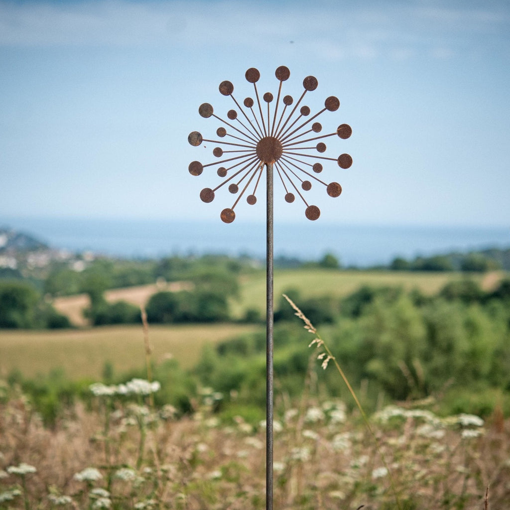 Firework Allium - Male - WowCornwall