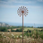 Firework Allium - Male - WowCornwall