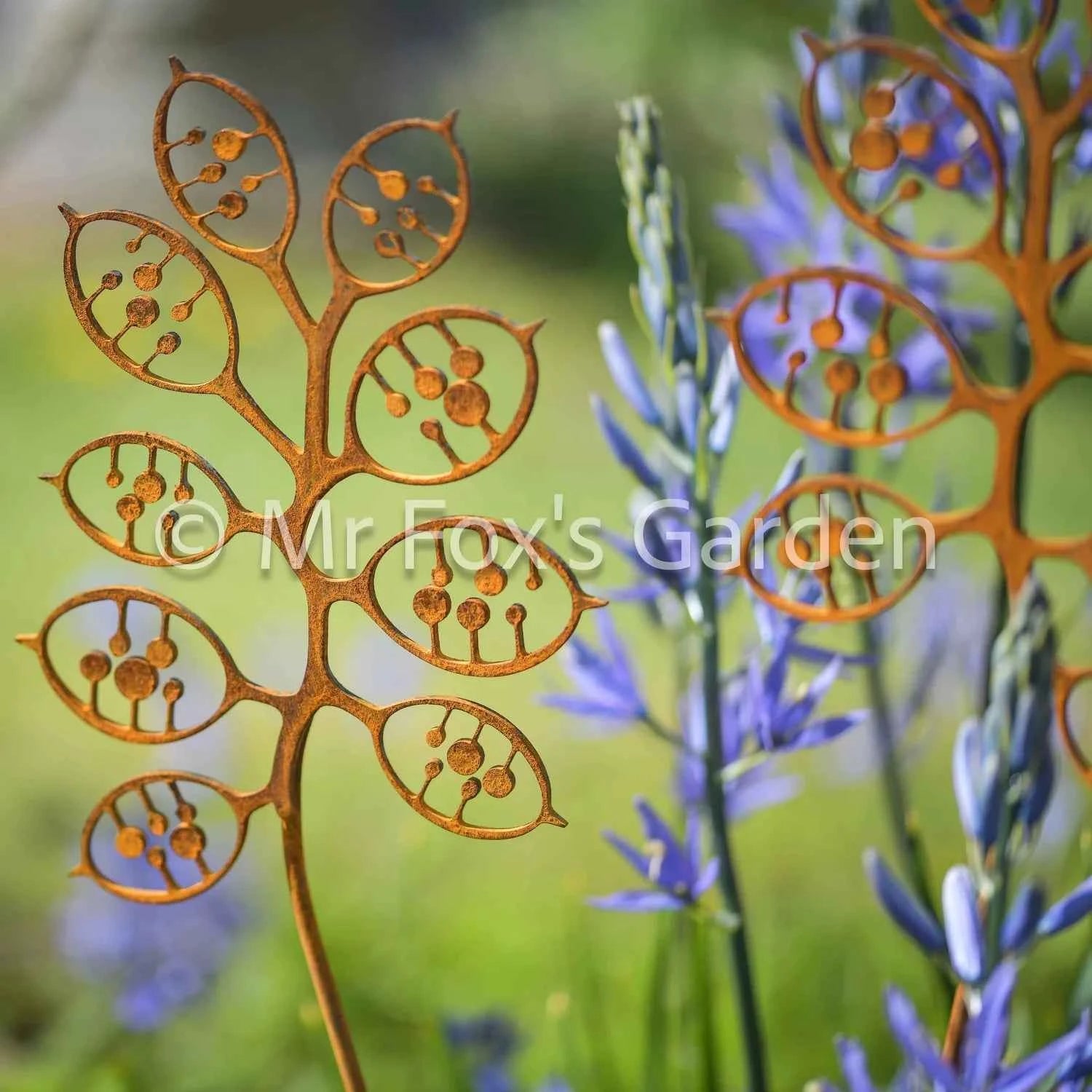 Honesty seeded Art Garden Stake