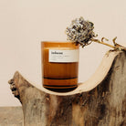 Judaean, rich + complex premium soy candle - WowCornwall