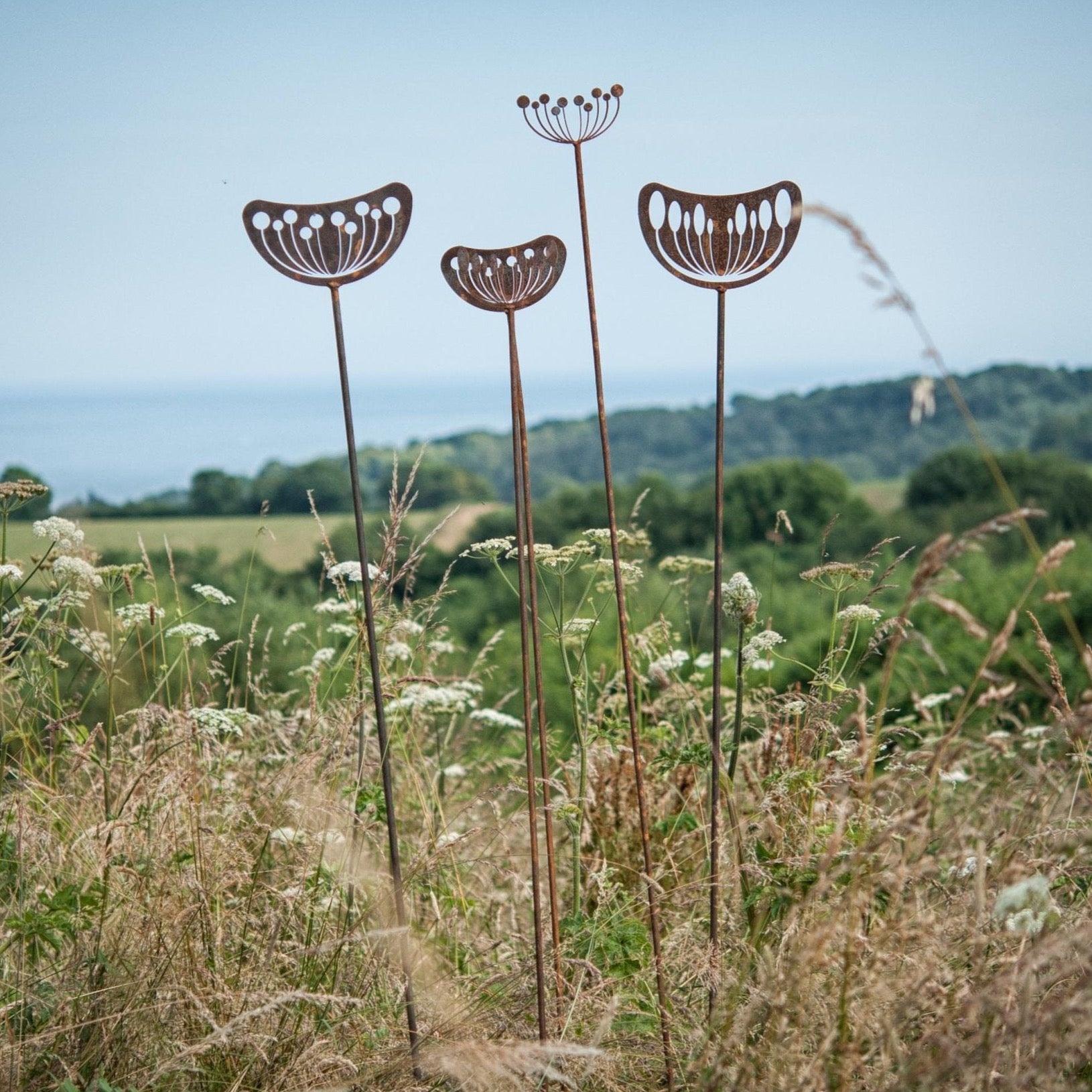 Seedhead - Female - WowCornwall