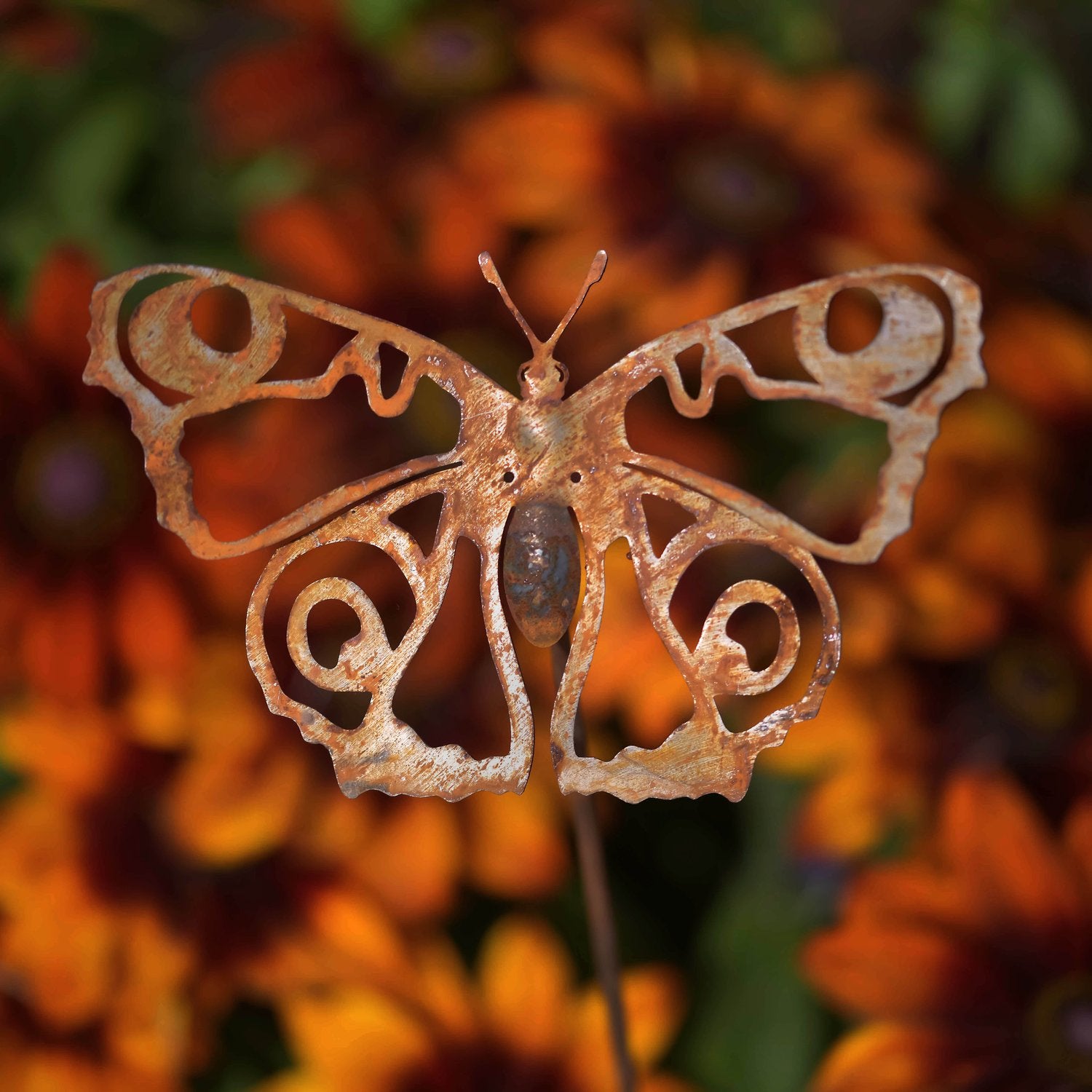 Peacock butterfly sculpture with stake - WowCornwall