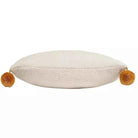 Ice Ice Baby Cushion