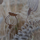 Poppy seadhead sculpture - WowCornwall