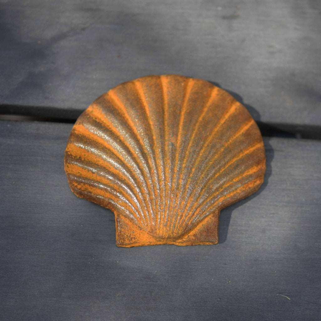 Rusty Seashell sculpture - WowCornwall