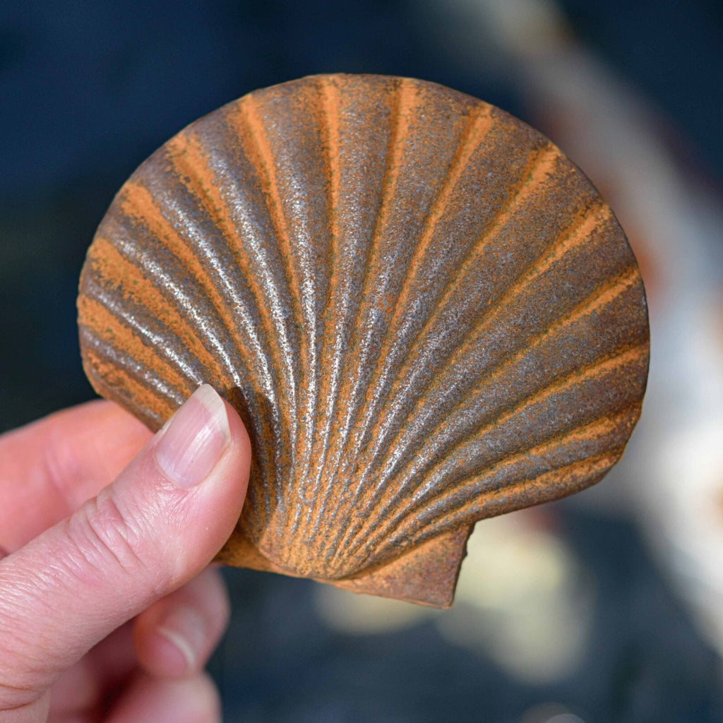 Rusty Seashell sculpture - WowCornwall