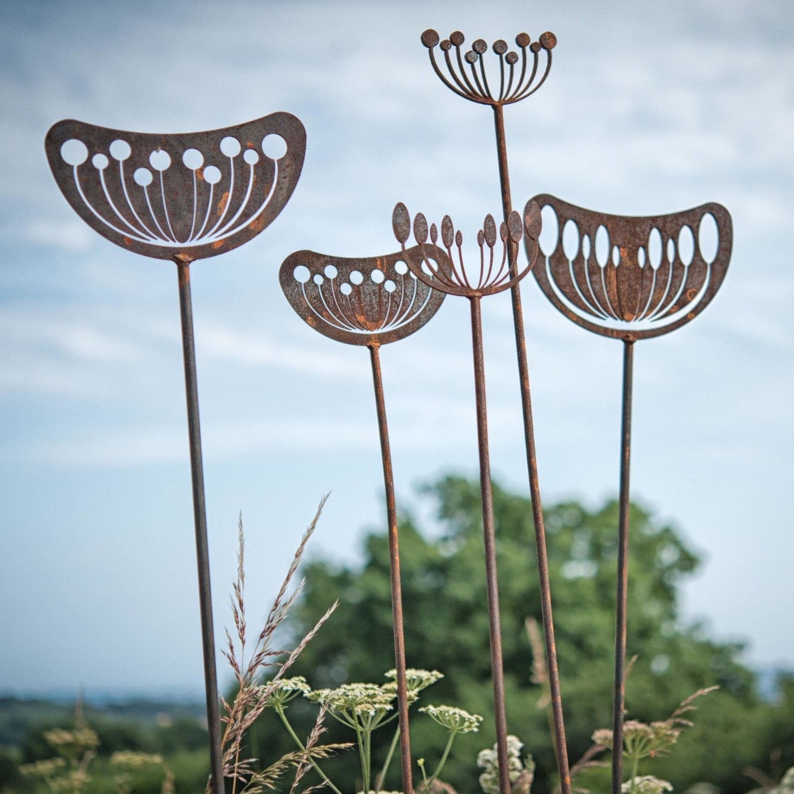 Seedhead - Male - WowCornwall