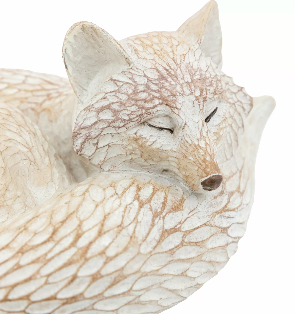 Pearly White Fox - WowCornwall