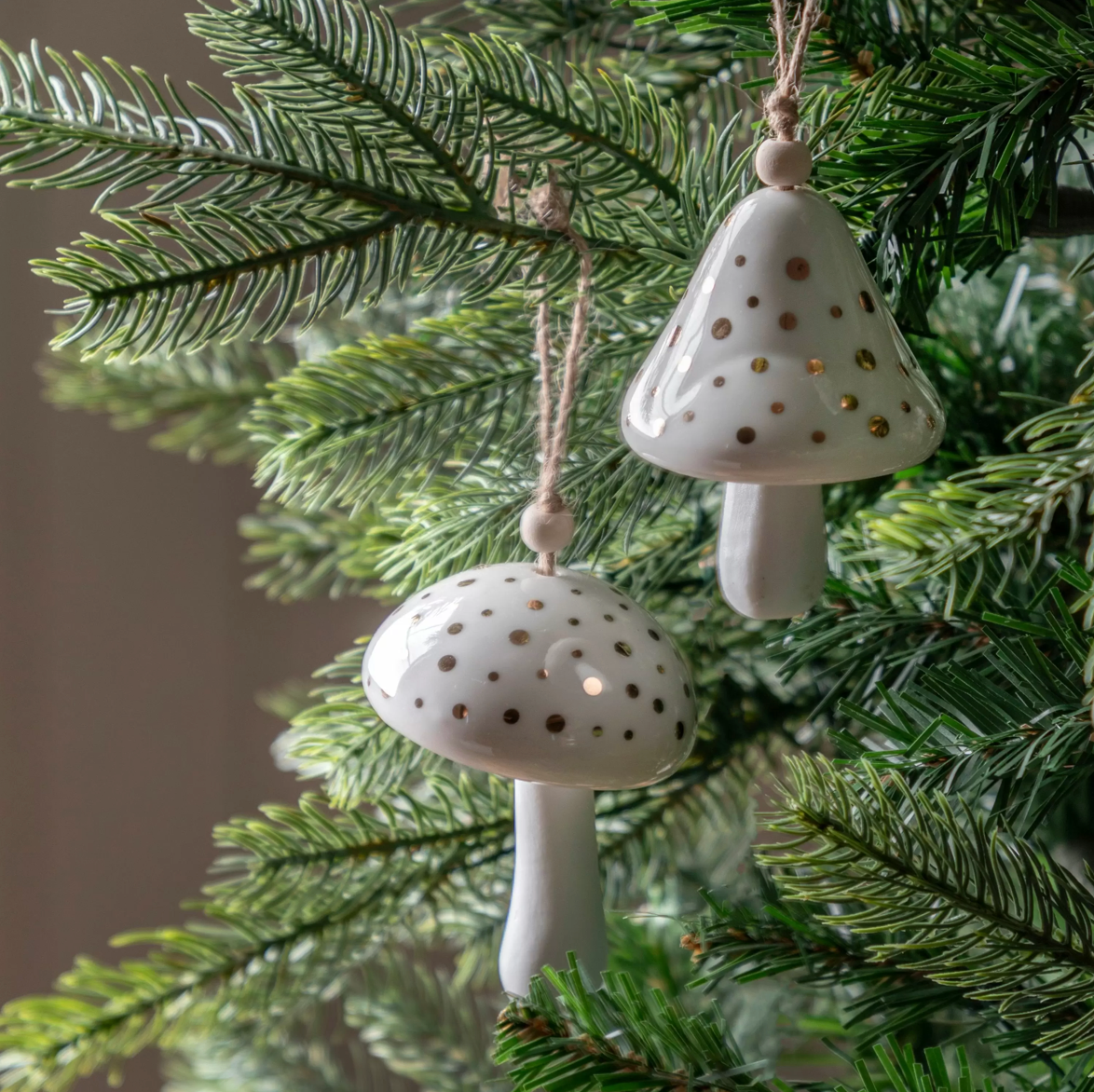 Pearly white hanging mushrooms 2pk - WowCornwall