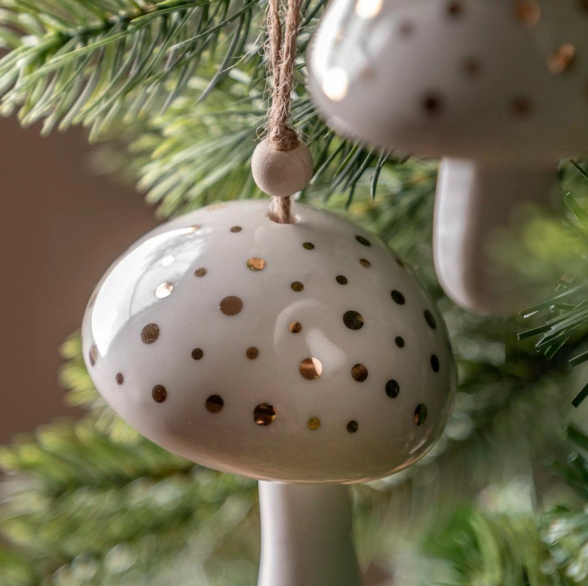 Pearly white hanging mushrooms 2pk - WowCornwall
