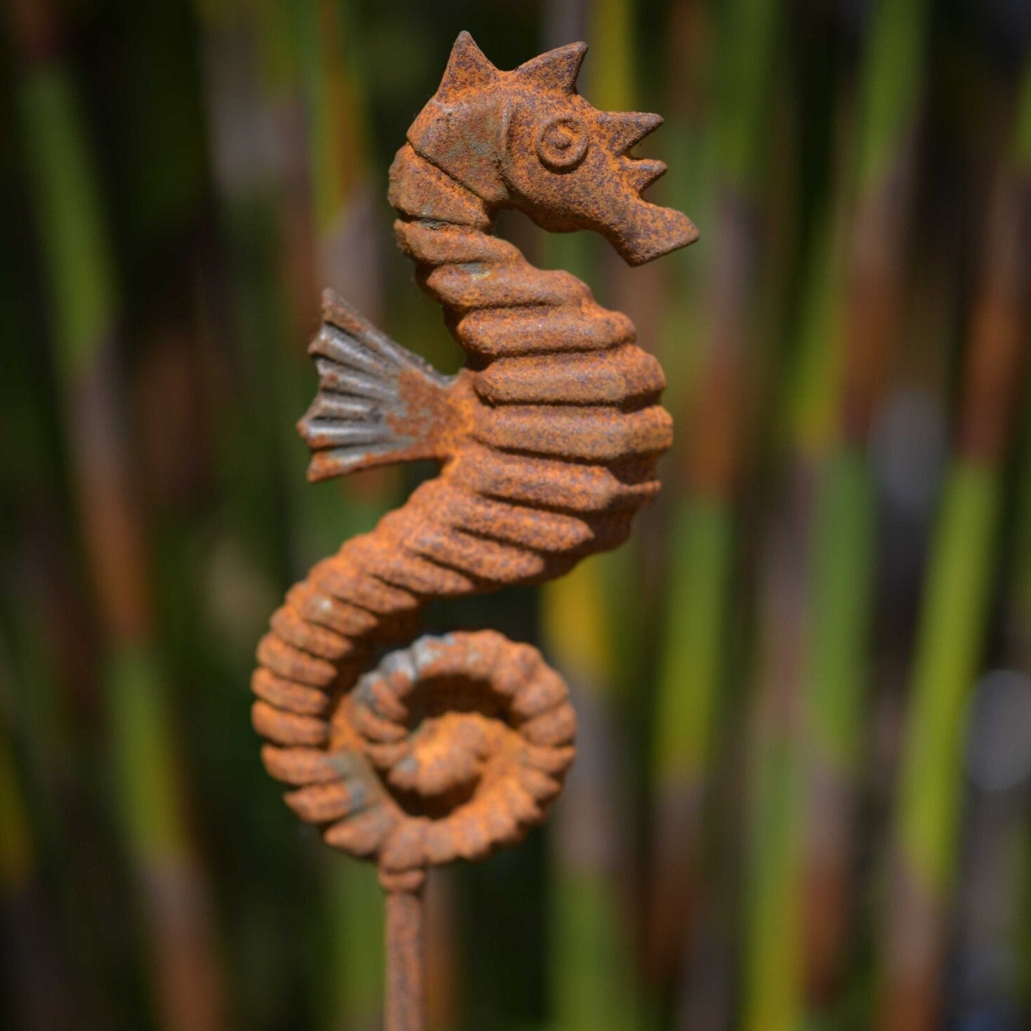 Seahorse stake sculpture - WowCornwall