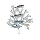 Seaweed and Fish Wall Art - WowCornwall