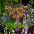 Silver Washed Fritillary