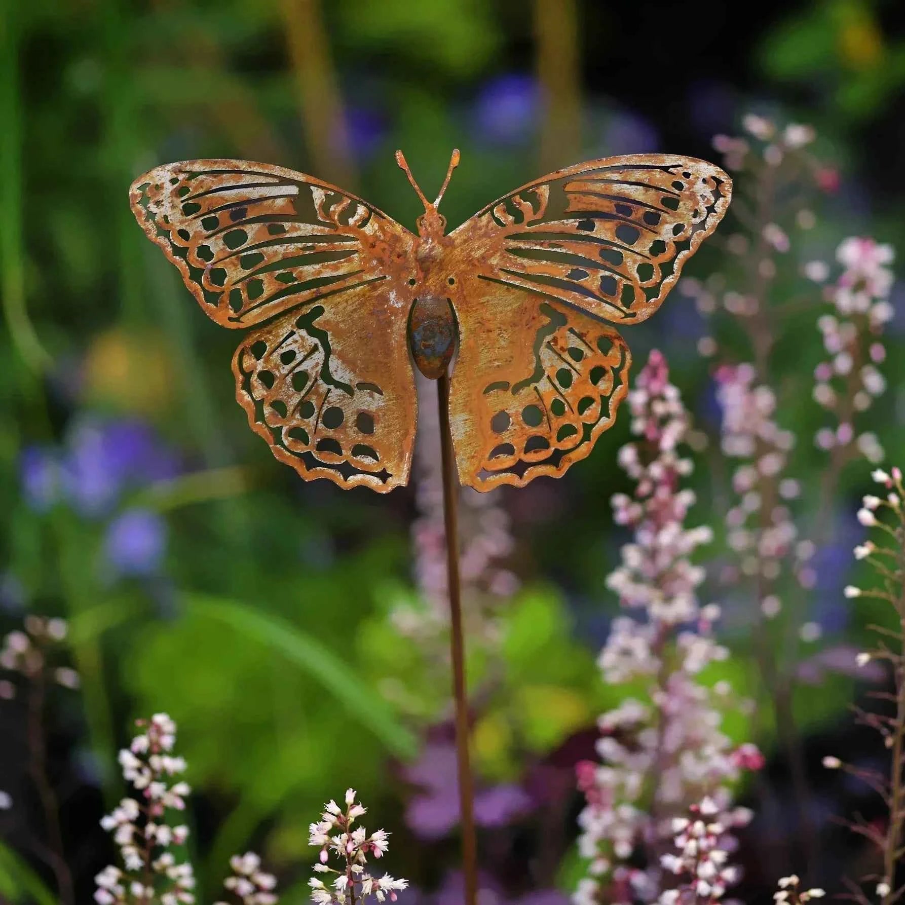 Silver Washed Fritillary