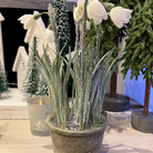 White/Green Snowdrop Plant in Pot Decoration - WowCornwall