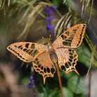 Swallowtail butterfly sculpture with stake - WowCornwall