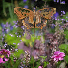 Tortoiseshell butterfly sculpture with stake - WowCornwall