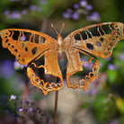 Tortoiseshell butterfly sculpture with stake - WowCornwall