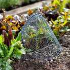 Garden Cloche 39cm