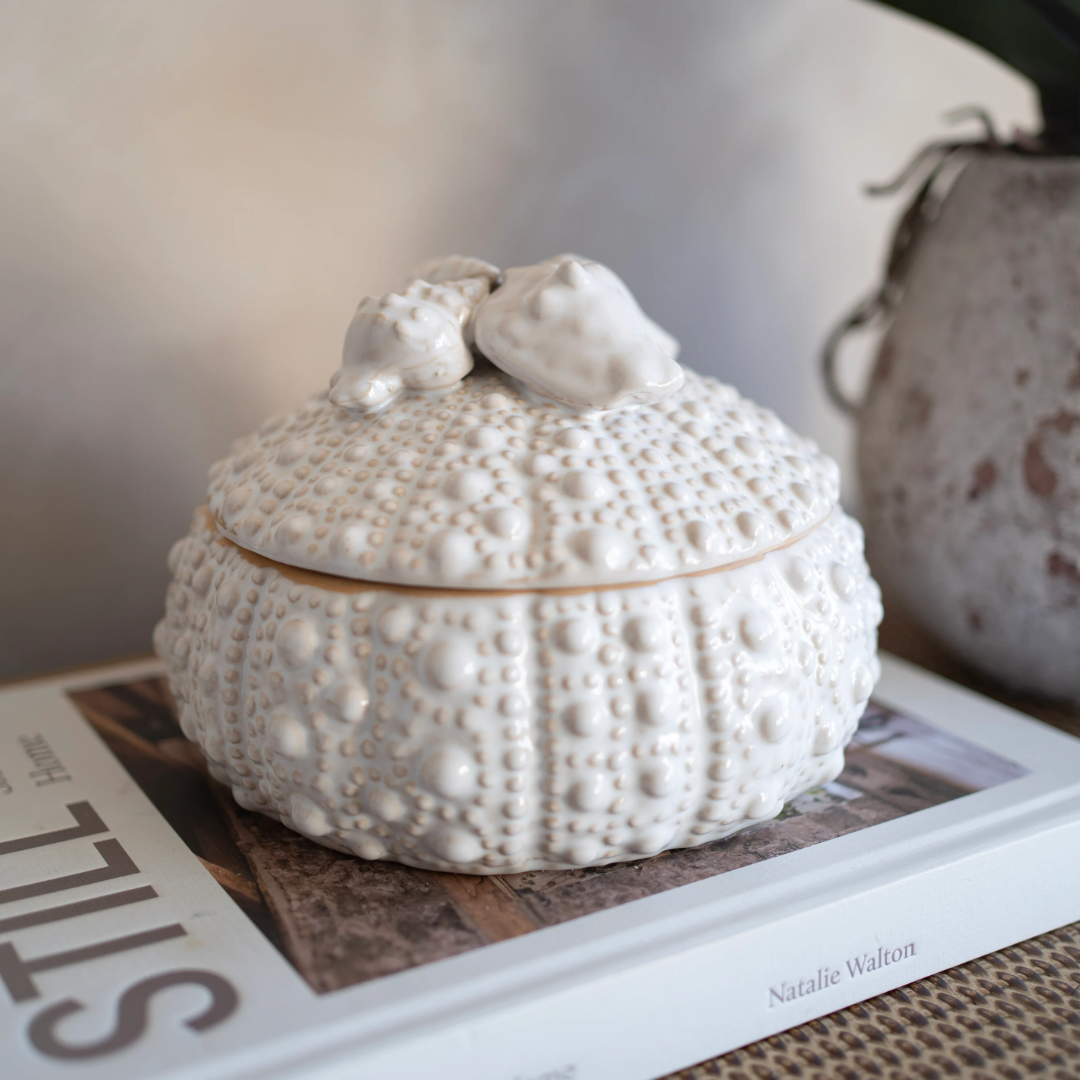 Urchin and Shell Trinket Jar