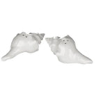 Whelk Salt & Pepper Shaker - WowCornwall