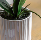 Artificial Cream Orchid in White Ceramic Pot