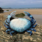 Blue Crab Wall Art - WowCornwall