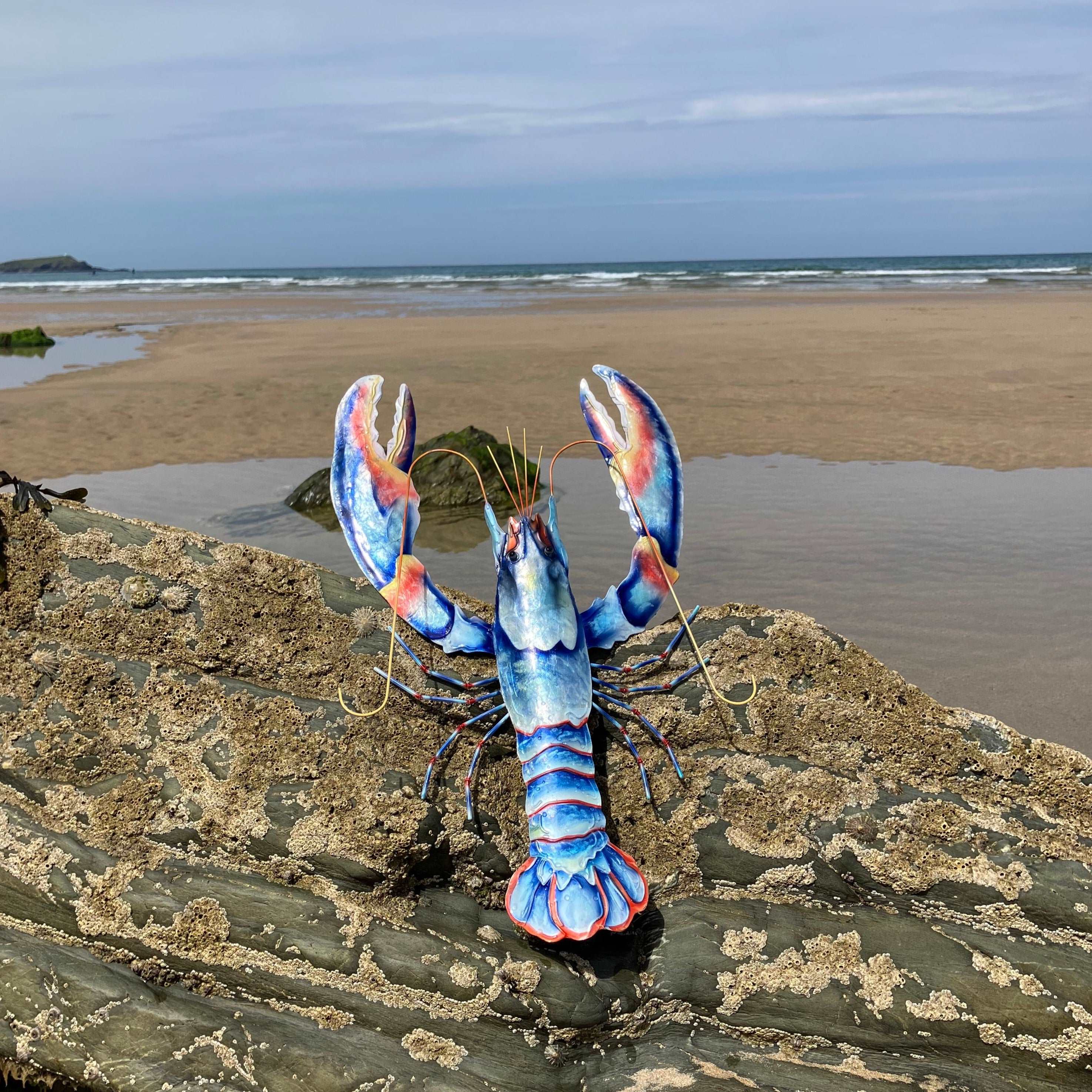 Blue Lobster Wall Art Small - WowCornwall