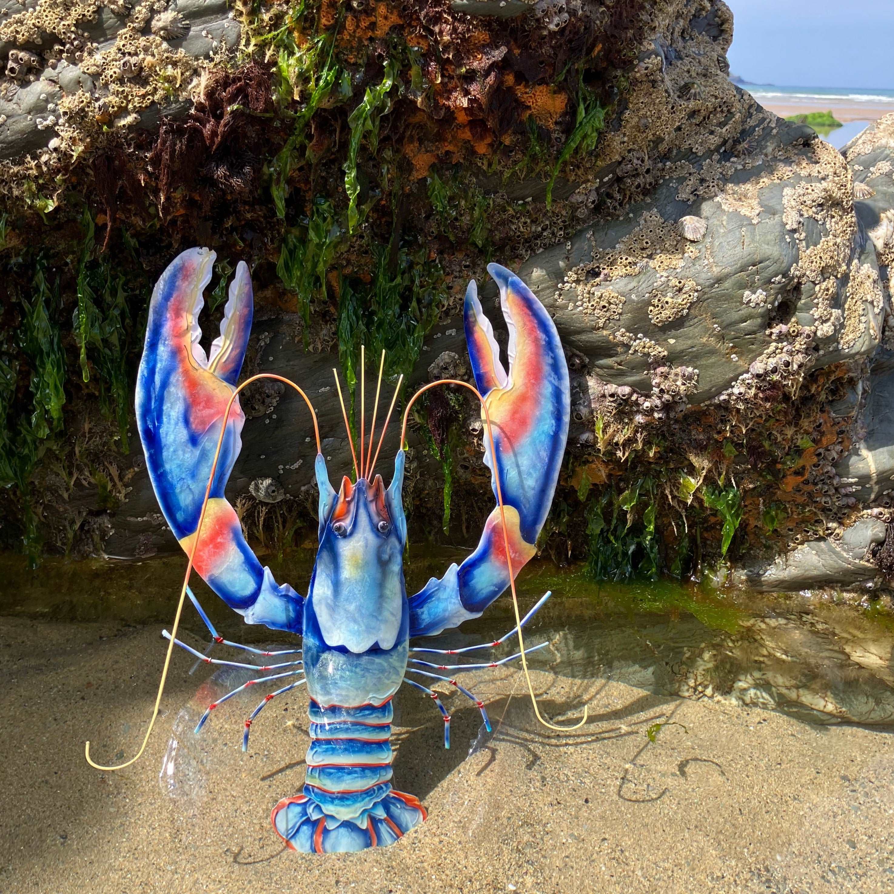 Blue Lobster Wall Art Large - WowCornwall