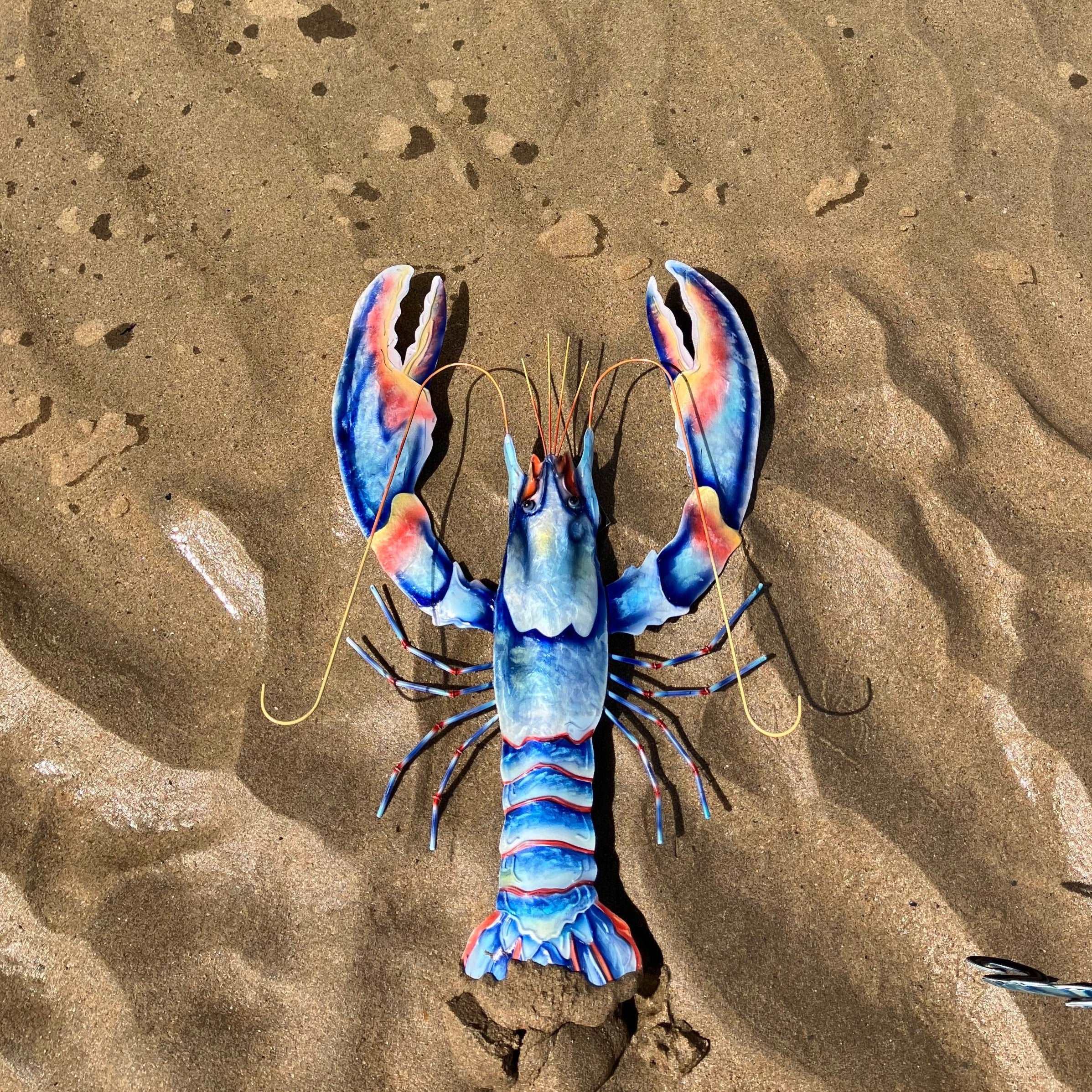 Blue Lobster Wall Art Small - WowCornwall