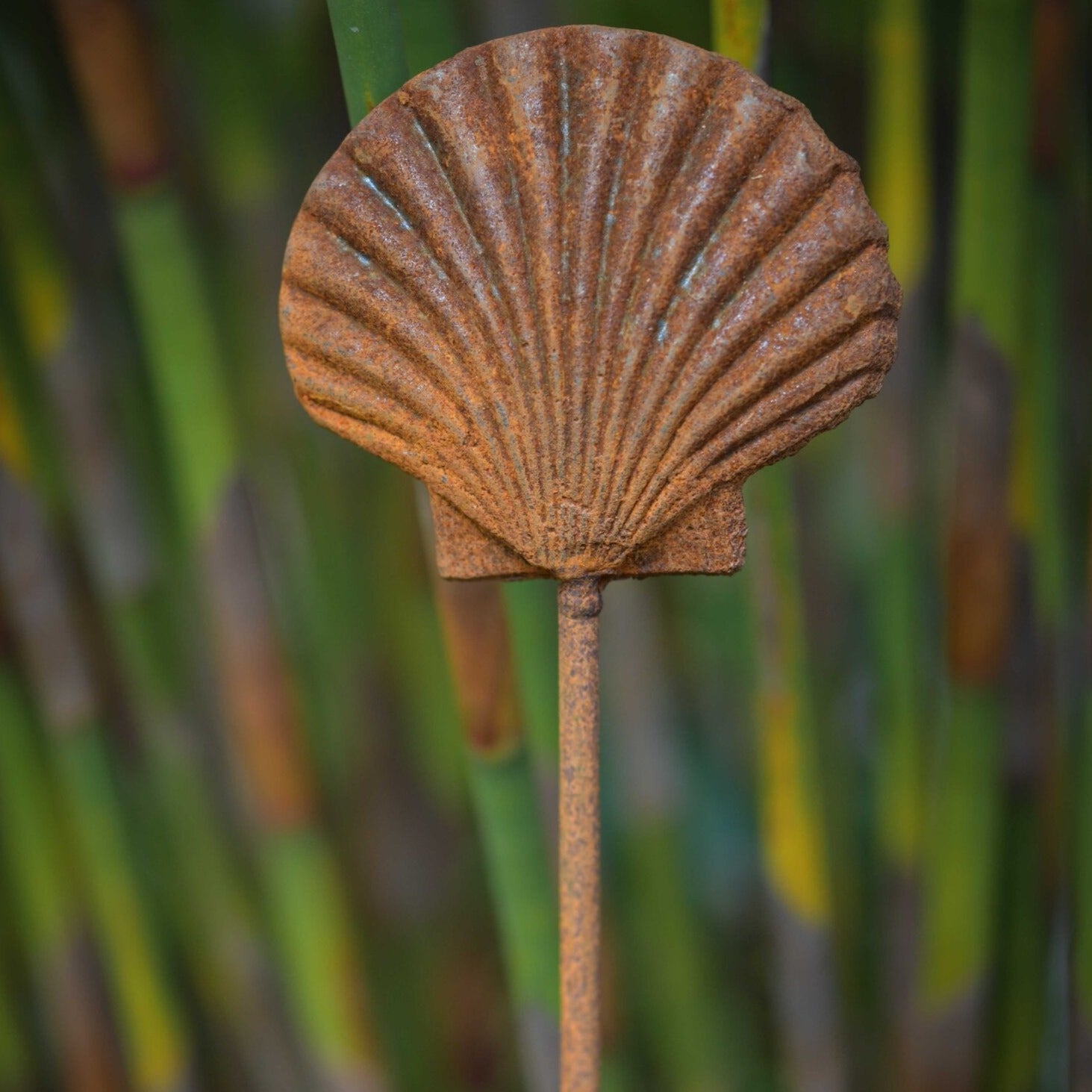 Seashell stake sculpture - WowCornwall