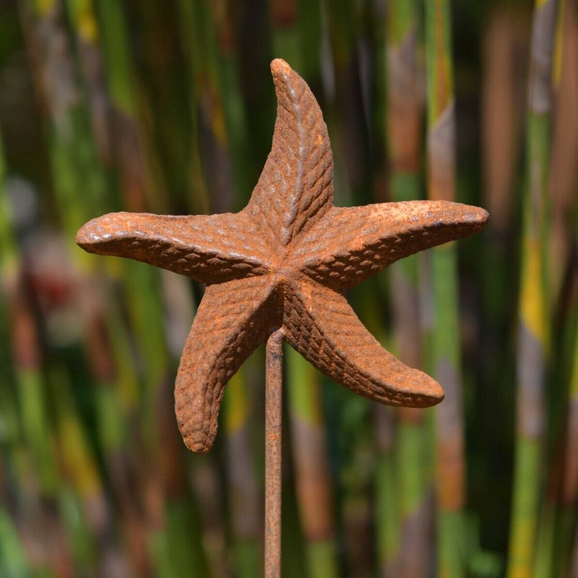 Starfish stake sculpture - WowCornwall